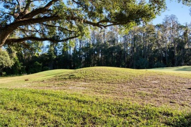 GOLF COURSE FRONTAGE reduced  65k for remodel incentive very on Tampa Palms Golf and Country Club in Florida - for sale on GolfHomes.com, golf home, golf lot