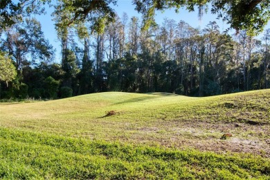 GOLF COURSE FRONTAGE reduced  65k for remodel incentive very on Tampa Palms Golf and Country Club in Florida - for sale on GolfHomes.com, golf home, golf lot