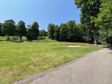 Lot 60 Sparrow Hawk Drive is located on the 12th green of the on The Chief Golf Course in Michigan - for sale on GolfHomes.com, golf home, golf lot