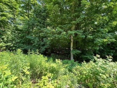 Lot 60 Sparrow Hawk Drive is located on the 12th green of the on The Chief Golf Course in Michigan - for sale on GolfHomes.com, golf home, golf lot