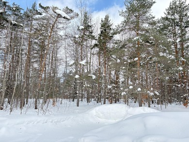 This charming Lakes of the North home has been fully renovated on Lakes of the North Deer Run Golf Course in Michigan - for sale on GolfHomes.com, golf home, golf lot