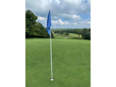 Build your dream home to suit your needs on this beautiul lot on Raintree Country Club in Missouri - for sale on GolfHomes.com, golf home, golf lot