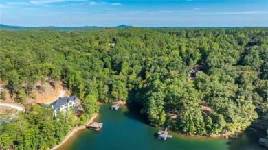 LONG RANGE WATER and BIG MOUNTAIN VIEWS framed by two spring-fed on The Reserve At Lake Keowee in South Carolina - for sale on GolfHomes.com, golf home, golf lot