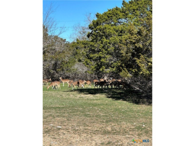 Beautiful lot for sale in the Flying L Ranch in *Cowboy Capital on Flying L Guest Ranch in Texas - for sale on GolfHomes.com, golf home, golf lot