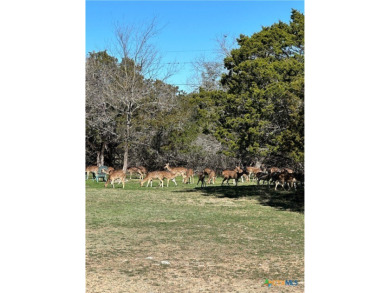 Beautiful lot for sale in the Flying L Ranch in *Cowboy Capital on Flying L Guest Ranch in Texas - for sale on GolfHomes.com, golf home, golf lot