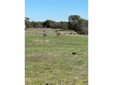 Beautiful lot for sale in the Flying L Ranch in *Cowboy Capital on Flying L Guest Ranch in Texas - for sale on GolfHomes.com, golf home, golf lot