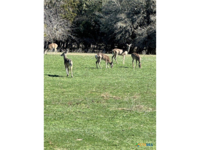 Beautiful lot for sale in the Flying L Ranch in *Cowboy Capital on Flying L Guest Ranch in Texas - for sale on GolfHomes.com, golf home, golf lot