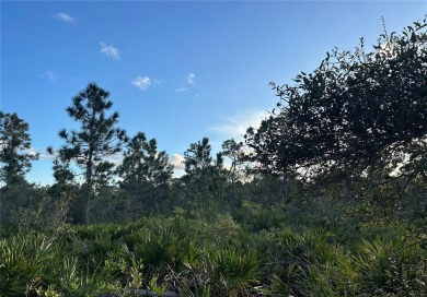 Here you have found your perfect piece of paradise to build your on Indian Lake Estates Golf and Country Club in Florida - for sale on GolfHomes.com, golf home, golf lot
