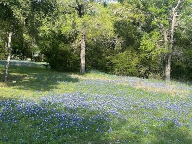 Great lot on a cul-de-sac with good hardwood trees.  White Bluff on White Bluff Resort - Old Course in Texas - for sale on GolfHomes.com, golf home, golf lot