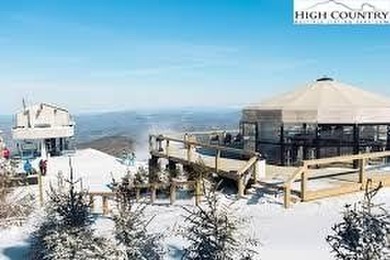 CURRENT BEECH MOUNTAIN CLUB INCLUDED on this gentle slope easy on Beech Mountain Club in North Carolina - for sale on GolfHomes.com, golf home, golf lot
