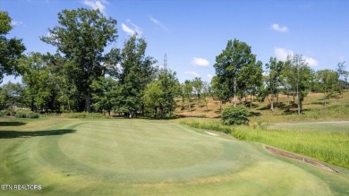 Tennessee National is a gated GOLF and MARINA active lifestyle on Tennessee National Golf Club in Tennessee - for sale on GolfHomes.com, golf home, golf lot