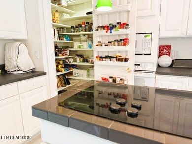 Are you looking for a true Tennessee Mountain panoramic view? on Druid Hills Golf Club in Tennessee - for sale on GolfHomes.com, golf home, golf lot