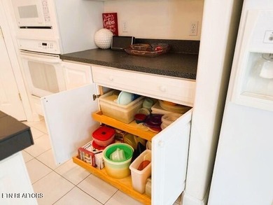 Are you looking for a true Tennessee Mountain panoramic view? on Druid Hills Golf Club in Tennessee - for sale on GolfHomes.com, golf home, golf lot