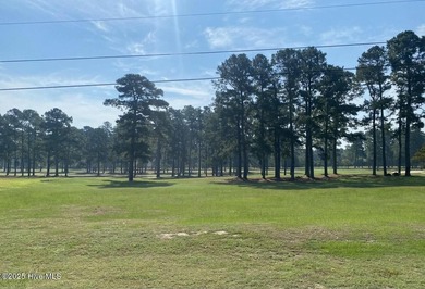 Nestled within the prestigious Duplin Country Club, Lot 49 on Majestic Pines Golf and Country Club in North Carolina - for sale on GolfHomes.com, golf home, golf lot