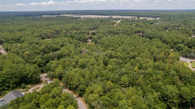 This 1.25 Acre wooded lot is located in a highly desired Rainbow on Juliette Falls Golf and Spa Club in Florida - for sale on GolfHomes.com, golf home, golf lot