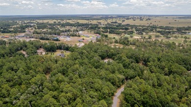 This 1.25 Acre wooded lot is located in a highly desired Rainbow on Juliette Falls Golf and Spa Club in Florida - for sale on GolfHomes.com, golf home, golf lot
