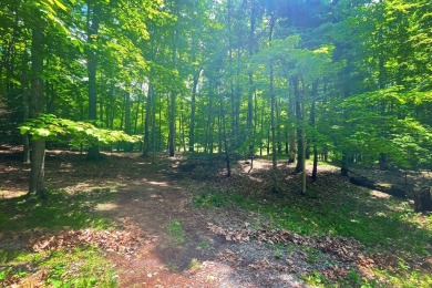 Here is your opportunity to design your dream homesite on the on Glade Springs Resort Golf Course in West Virginia - for sale on GolfHomes.com, golf home, golf lot