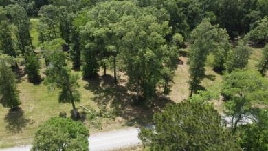 One of the last remaining lots up for sale in this newer on Ville Platte Golf and Country Club in Louisiana - for sale on GolfHomes.com, golf home, golf lot