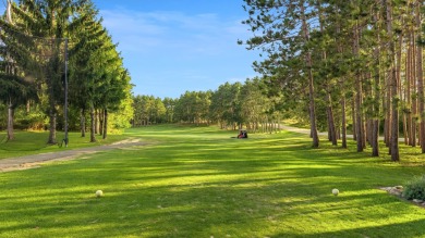 Rare turnkey investment! Includes Saddle Ridge 9-hole golf on Saddle Ridge Golf Club in Wisconsin - for sale on GolfHomes.com, golf home, golf lot