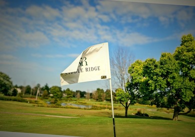 Rare turnkey investment! Includes Saddle Ridge 9-hole golf on Saddle Ridge Golf Club in Wisconsin - for sale on GolfHomes.com, golf home, golf lot