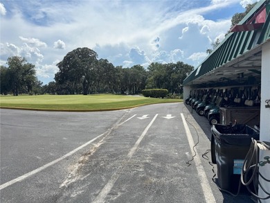 Renovated 2-Bedroom Home in Premier 55+ Active Golf Community

 on Continental Country Club in Florida - for sale on GolfHomes.com, golf home, golf lot