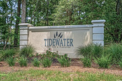 Located in the gated community of Teal Lake Village in Tidewater on Tidewater Golf Club and Plantation in South Carolina - for sale on GolfHomes.com, golf home, golf lot