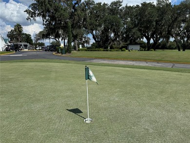 Renovated 2-Bedroom Home in Premier 55+ Active Golf Community

 on Continental Country Club in Florida - for sale on GolfHomes.com, golf home, golf lot