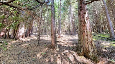 Looking for acreage? Willing to put in a little sweat equity? on Circle Bar Golf Club in Oregon - for sale on GolfHomes.com, golf home, golf lot
