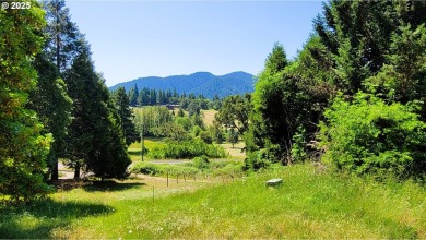 Looking for acreage? Willing to put in a little sweat equity? on Circle Bar Golf Club in Oregon - for sale on GolfHomes.com, golf home, golf lot
