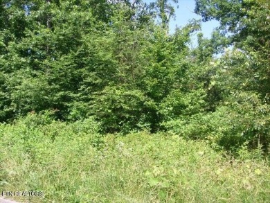 Great Lakefront Lot! Access to the big Lake Tansi! Great on Lake Tansi Village Country Club in Tennessee - for sale on GolfHomes.com, golf home, golf lot