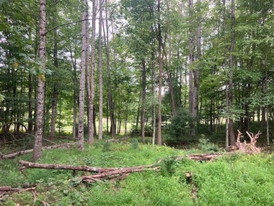 Golf lot - OWNER FINANCING AVAILABLE WITH ONLY $2,500 DOWN on Glade Springs Resort Golf Course in West Virginia - for sale on GolfHomes.com, golf home, golf lot