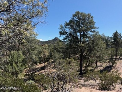 TERRIFIC MOGOLLON RIM, MONUMENT PEAK, & STEWART MOUNTAIN on The Rim Golf Club in Arizona - for sale on GolfHomes.com, golf home, golf lot