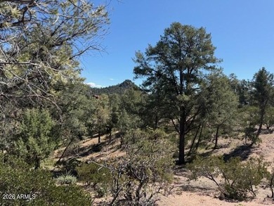 TERRIFIC MOGOLLON RIM, MONUMENT PEAK, & STEWART MOUNTAIN on The Rim Golf Club in Arizona - for sale on GolfHomes.com, golf home, golf lot