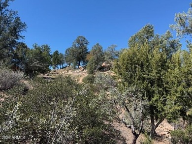 TERRIFIC MOGOLLON RIM, MONUMENT PEAK, & STEWART MOUNTAIN on The Rim Golf Club in Arizona - for sale on GolfHomes.com, golf home, golf lot