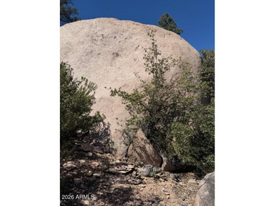 TERRIFIC MOGOLLON RIM, MONUMENT PEAK, & STEWART MOUNTAIN on The Rim Golf Club in Arizona - for sale on GolfHomes.com, golf home, golf lot