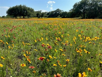 This interior lot 591 on Breezy Street in the Kings Point Cove on Hideout Golf Club and Resort  in Texas - for sale on GolfHomes.com, golf home, golf lot