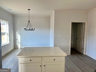 Brand New Construction without the wait time as home is already on Barrington Hall Golf Course in Georgia - for sale on GolfHomes.com, golf home, golf lot