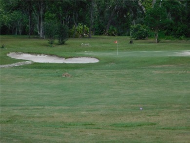 Discover the charm of living in the beautiful Sugar Mill Woods on Sugarmill Woods Golf and Country Club in Florida - for sale on GolfHomes.com, golf home, golf lot
