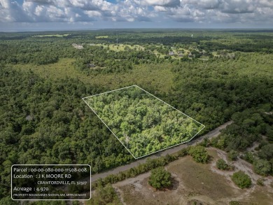 5 quiet acres located on the outskirts of Crawfordville. Minutes on Wildwood Country Club in Florida - for sale on GolfHomes.com, golf home, golf lot