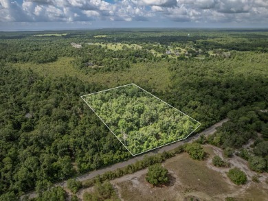 5 quiet acres located on the outskirts of Crawfordville. Minutes on Wildwood Country Club in Florida - for sale on GolfHomes.com, golf home, golf lot