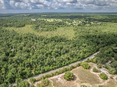 5 quiet acres located on the outskirts of Crawfordville. Minutes on Wildwood Country Club in Florida - for sale on GolfHomes.com, golf home, golf lot