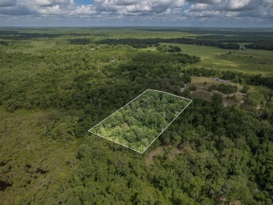 5 quiet acres located on the outskirts of Crawfordville. Minutes on Wildwood Country Club in Florida - for sale on GolfHomes.com, golf home, golf lot