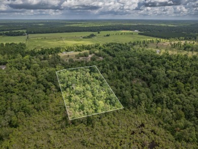 5 quiet acres located on the outskirts of Crawfordville. Minutes on Wildwood Country Club in Florida - for sale on GolfHomes.com, golf home, golf lot