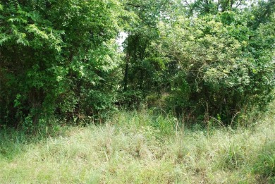 Golf course lot located on #11 fairway of New Golf Course.  Get on White Bluff Resort - New Course in Texas - for sale on GolfHomes.com, golf home, golf lot