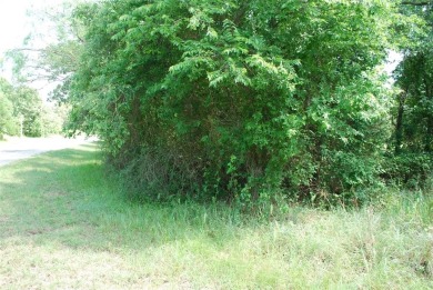 Golf course lot located on #11 fairway of New Golf Course.  Get on White Bluff Resort - New Course in Texas - for sale on GolfHomes.com, golf home, golf lot