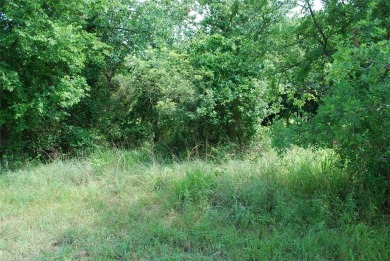 Golf course lot located on #11 fairway of New Golf Course.  Get on White Bluff Resort - New Course in Texas - for sale on GolfHomes.com, golf home, golf lot