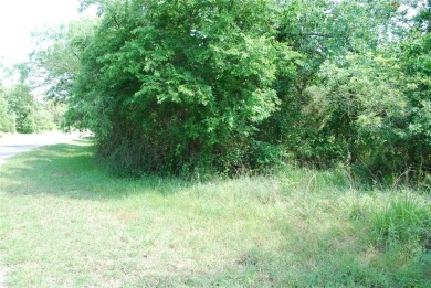 Golf course lot located on #11 fairway of New Golf Course.  Get on White Bluff Resort - New Course in Texas - for sale on GolfHomes.com, golf home, golf lot