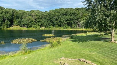 3.99% Interest Loan Available! Purchase this Beautifully updated on Lakes of the Four Seasons Country Club in Indiana - for sale on GolfHomes.com, golf home, golf lot