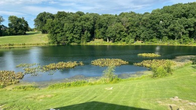 3.99% Interest Loan Available! Purchase this Beautifully updated on Lakes of the Four Seasons Country Club in Indiana - for sale on GolfHomes.com, golf home, golf lot