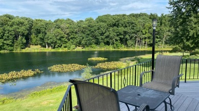 3.99% Interest Loan Available! Purchase this Beautifully updated on Lakes of the Four Seasons Country Club in Indiana - for sale on GolfHomes.com, golf home, golf lot